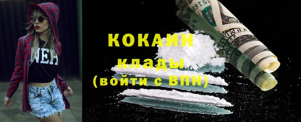 дмт Алексин