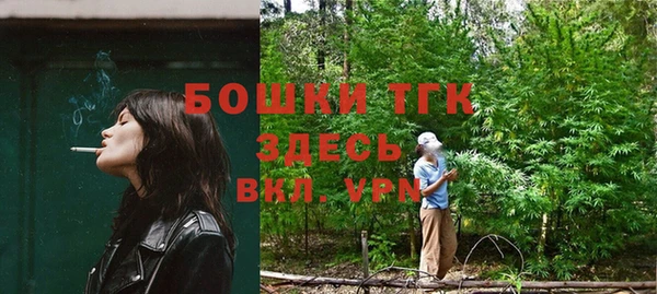 дмт Алексин