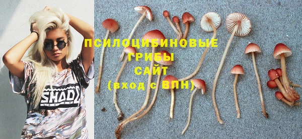 MDMA Алексеевка